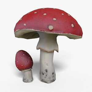 Mushroom Amanita