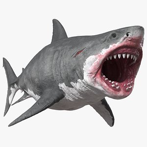 Megalodon Attacking Pose