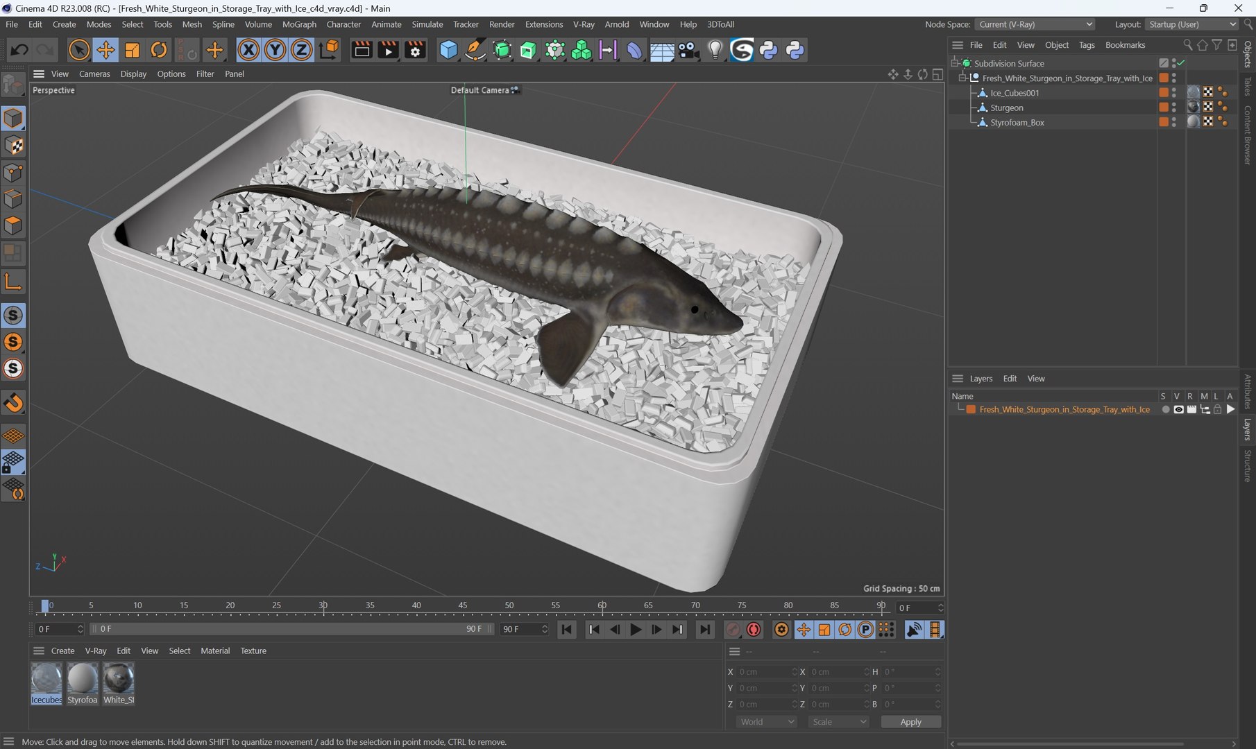 3D model Fresh White Sturgeon in Storage Tray with Ice https://p.turbosquid.com/ts-thumb/1b/UrKS27/vE/fresh_white_sturgeon_in_storage_tray_with_ice_1003/jpg/1756233094/1920x1080/fit_q87/f1206fc4321d813eb332b6a0c64add64bc7e2da8/fresh_white_sturgeon_in_storage_tray_with_ice_1003.jpg