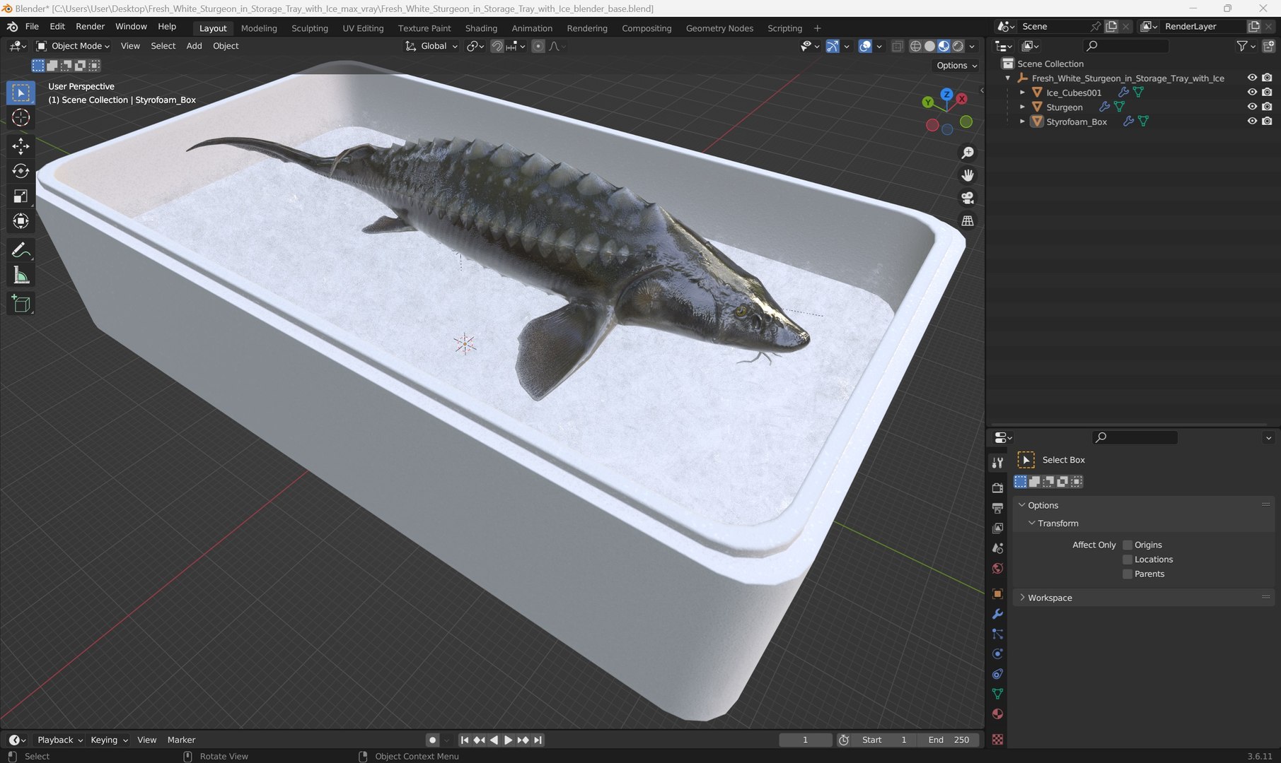 3D model Fresh White Sturgeon in Storage Tray with Ice https://p.turbosquid.com/ts-thumb/1b/UrKS27/wG/fresh_white_sturgeon_in_storage_tray_with_ice_1001/jpg/1756233088/1920x1080/fit_q87/d953a4872ec76cb1149d555cb5eb3438d50df243/fresh_white_sturgeon_in_storage_tray_with_ice_1001.jpg
