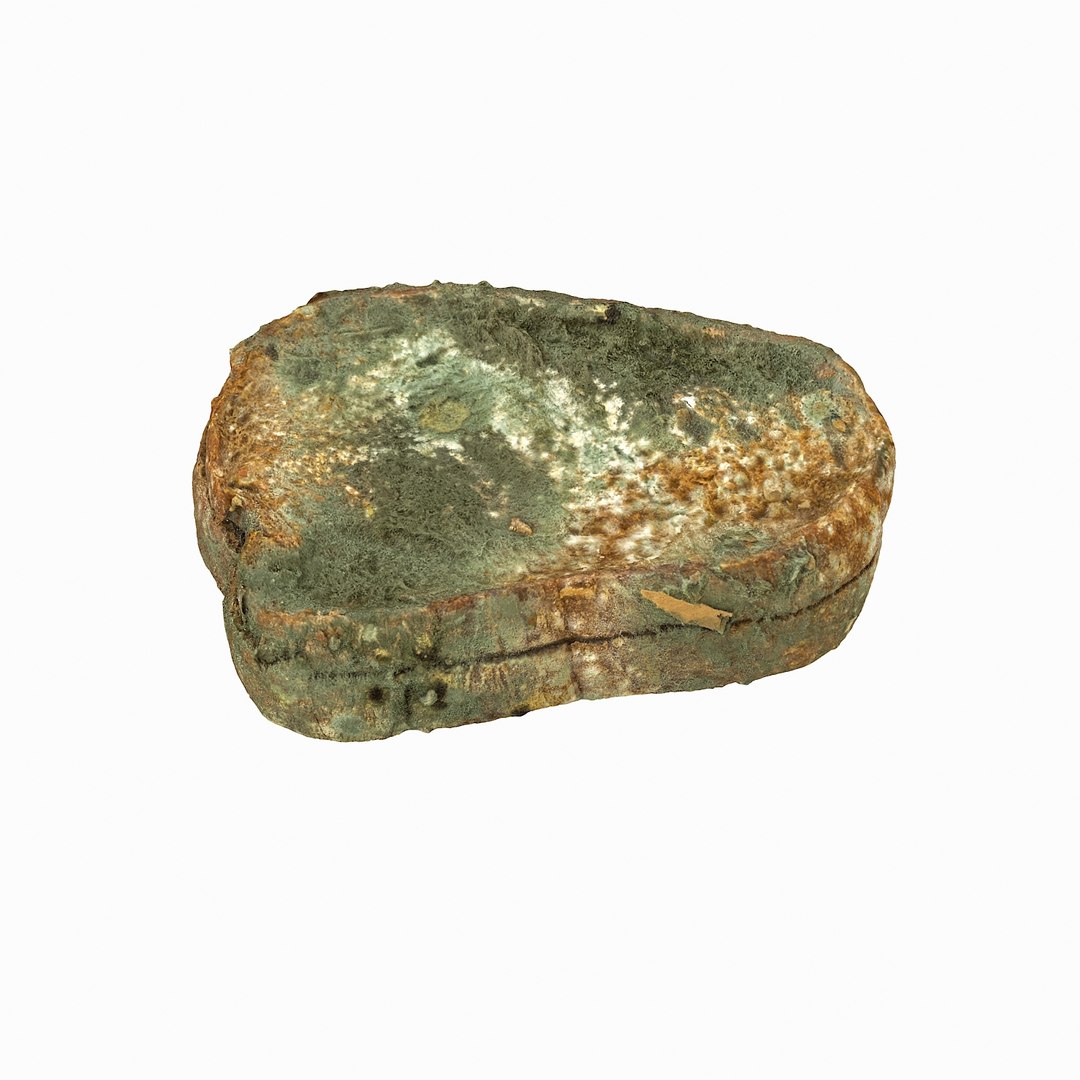 debris can 3D https://p.turbosquid.com/ts-thumb/1b/icvKQG/4RZnMH4D/mouldbreadslice_11/jpg/1507191879/1920x1080/fit_q87/437505a22e1f41149c6182e01ca6dbb537eb7eed/mouldbreadslice_11.jpg