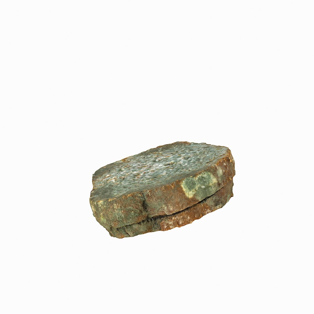 debris can 3D https://p.turbosquid.com/ts-thumb/1b/icvKQG/4RiPljpz/mouldbreadslice_09/jpg/1507191879/1920x1080/fit_q87/5336483d3ff05b0d3a18b9e8ea806b0c6b5734e0/mouldbreadslice_09.jpg