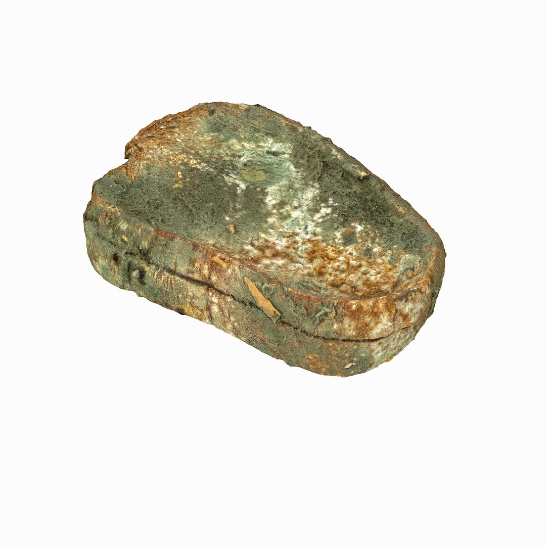 debris can 3D https://p.turbosquid.com/ts-thumb/1b/icvKQG/5QunQjP5/mouldbreadslice_17/jpg/1507191879/1920x1080/fit_q87/95a62f6bfa5a2a873eb80c13766b29d57d7e3bd6/mouldbreadslice_17.jpg