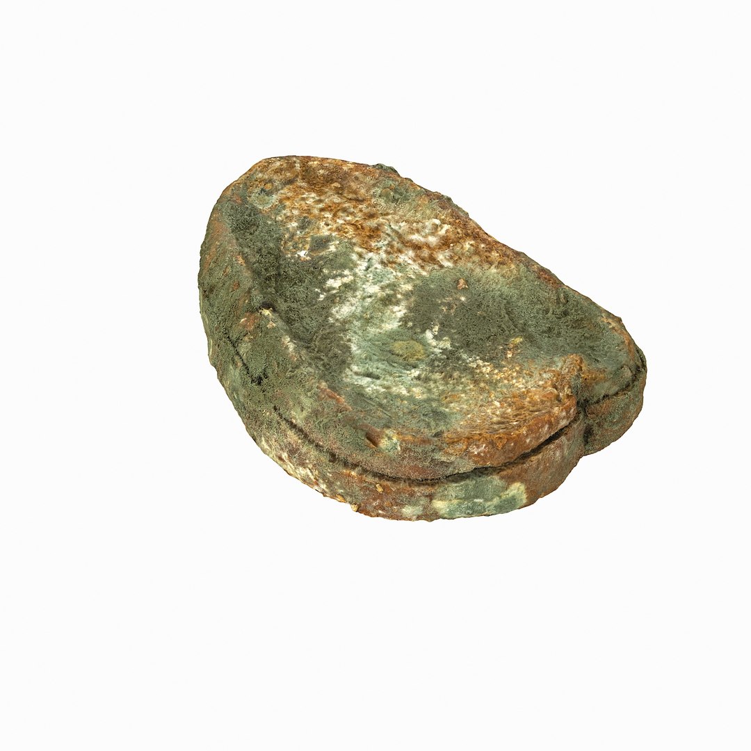 debris can 3D https://p.turbosquid.com/ts-thumb/1b/icvKQG/7pGkLjHq/mouldbreadslice_04/jpg/1507191879/1920x1080/fit_q87/ec62331ff8da19f5ba60724c8e48de383334223d/mouldbreadslice_04.jpg