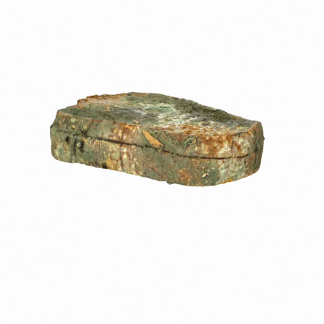 debris can 3D https://p.turbosquid.com/ts-thumb/1b/icvKQG/9U6x3H1t/mouldbreadslice_18/jpg/1507191879/1920x1080/fit_q87/104cbf34be34082320047993ba036fcc0ee2f453/mouldbreadslice_18.jpg