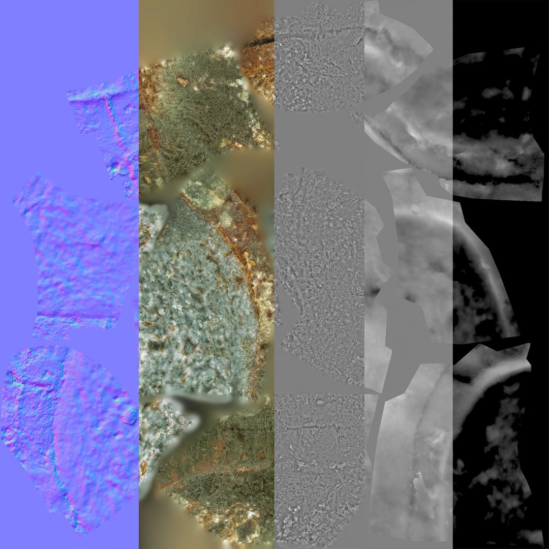 debris can 3D https://p.turbosquid.com/ts-thumb/1b/icvKQG/A10Zgc56/mouldbreadslice_31/jpg/1507191880/1920x1080/fit_q87/0582672ab8cb9d83d4dda1816743aed9a22cda98/mouldbreadslice_31.jpg
