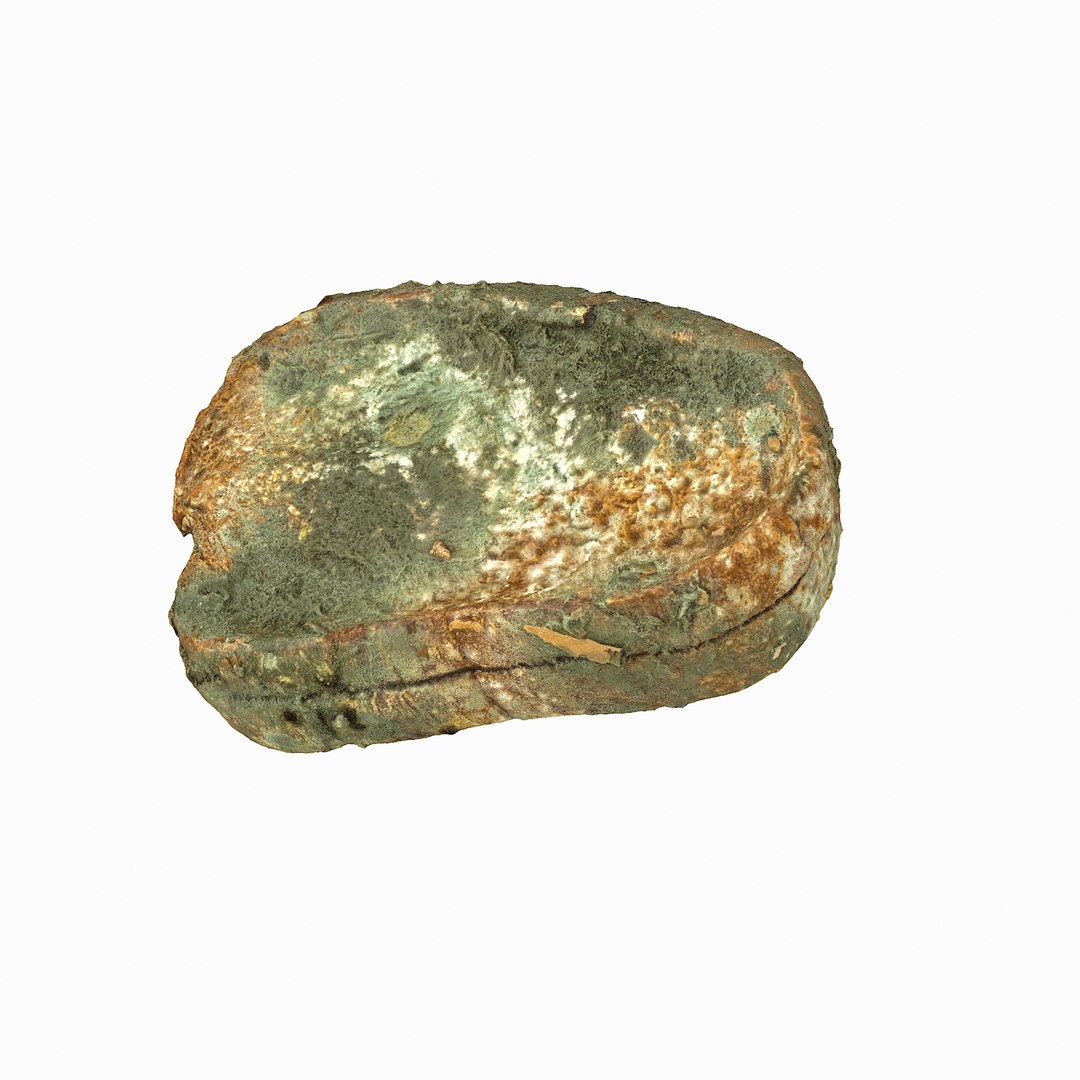 debris can 3D https://p.turbosquid.com/ts-thumb/1b/icvKQG/CaTGvQvi/mouldbreadslice_23/jpg/1507191879/1920x1080/fit_q87/4c1b383c7b2076f73ae34036f16d73d8cf932a2a/mouldbreadslice_23.jpg
