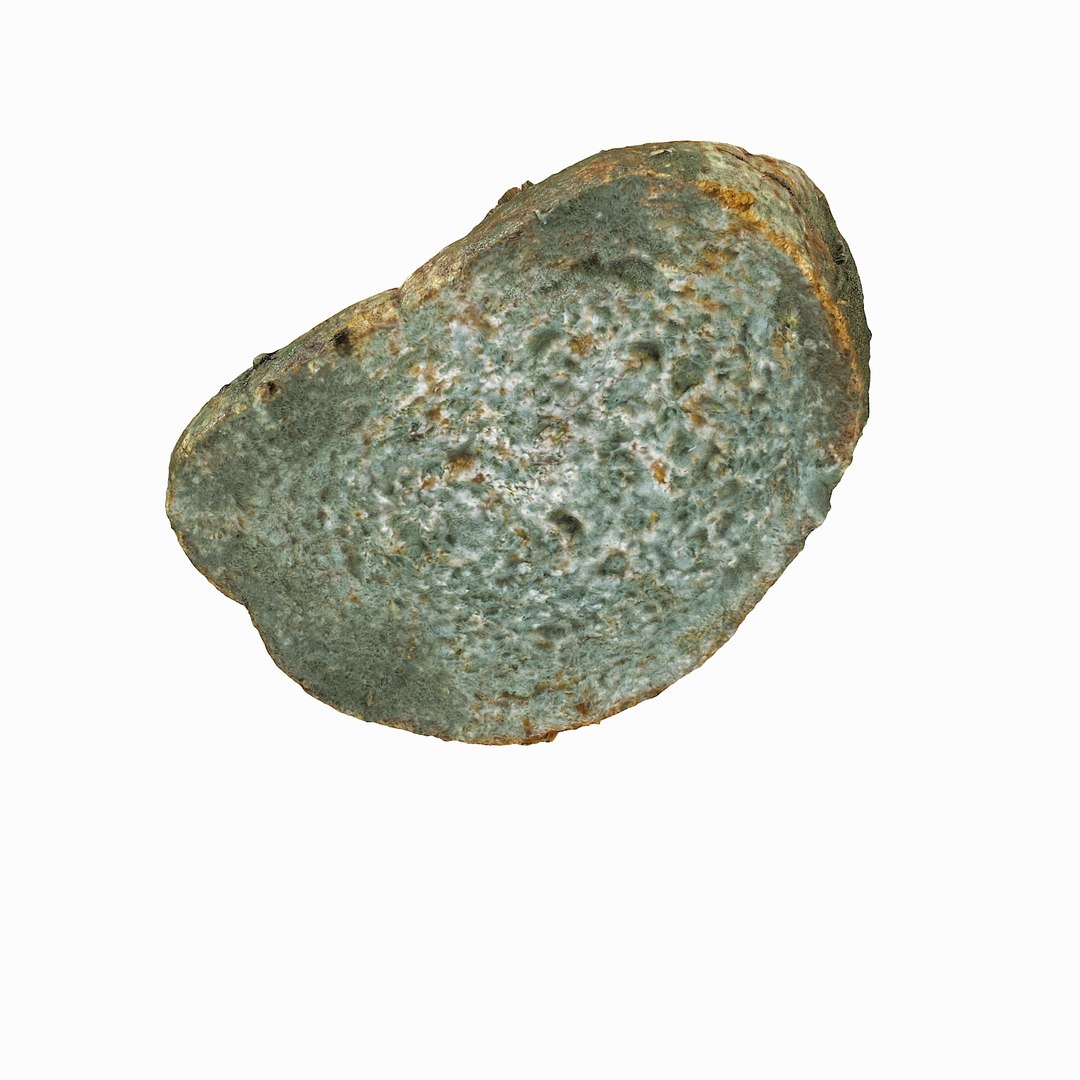 debris can 3D https://p.turbosquid.com/ts-thumb/1b/icvKQG/J1LIlq48/mouldbreadslice_20/jpg/1507191879/1920x1080/fit_q87/d6807d24de338666b6aee221ec34b38eacad5cd4/mouldbreadslice_20.jpg