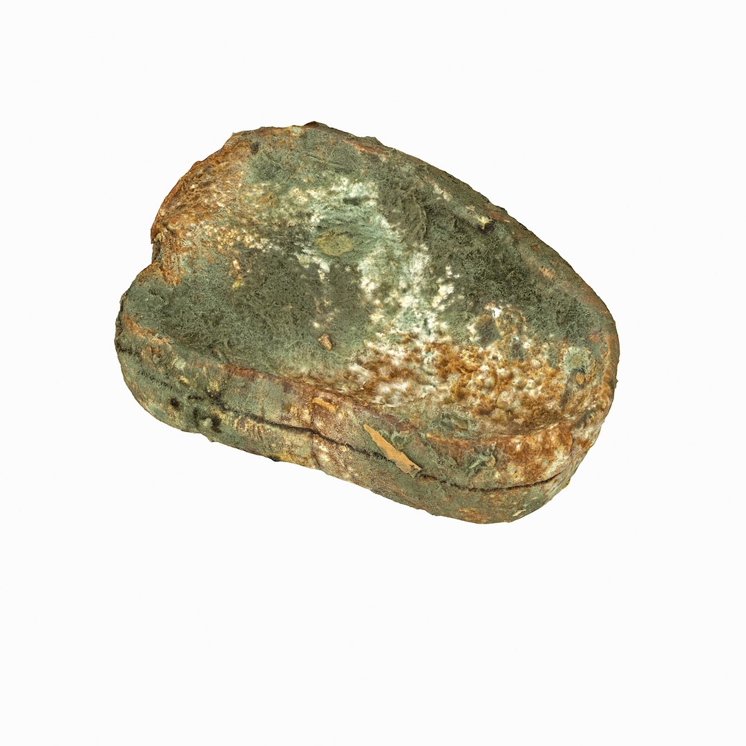 debris can 3D https://p.turbosquid.com/ts-thumb/1b/icvKQG/MGK5v9uq/mouldbreadslice_21/jpg/1507191879/1920x1080/fit_q87/7da18933141c5d66edc76a5baeb0618beddbda4a/mouldbreadslice_21.jpg