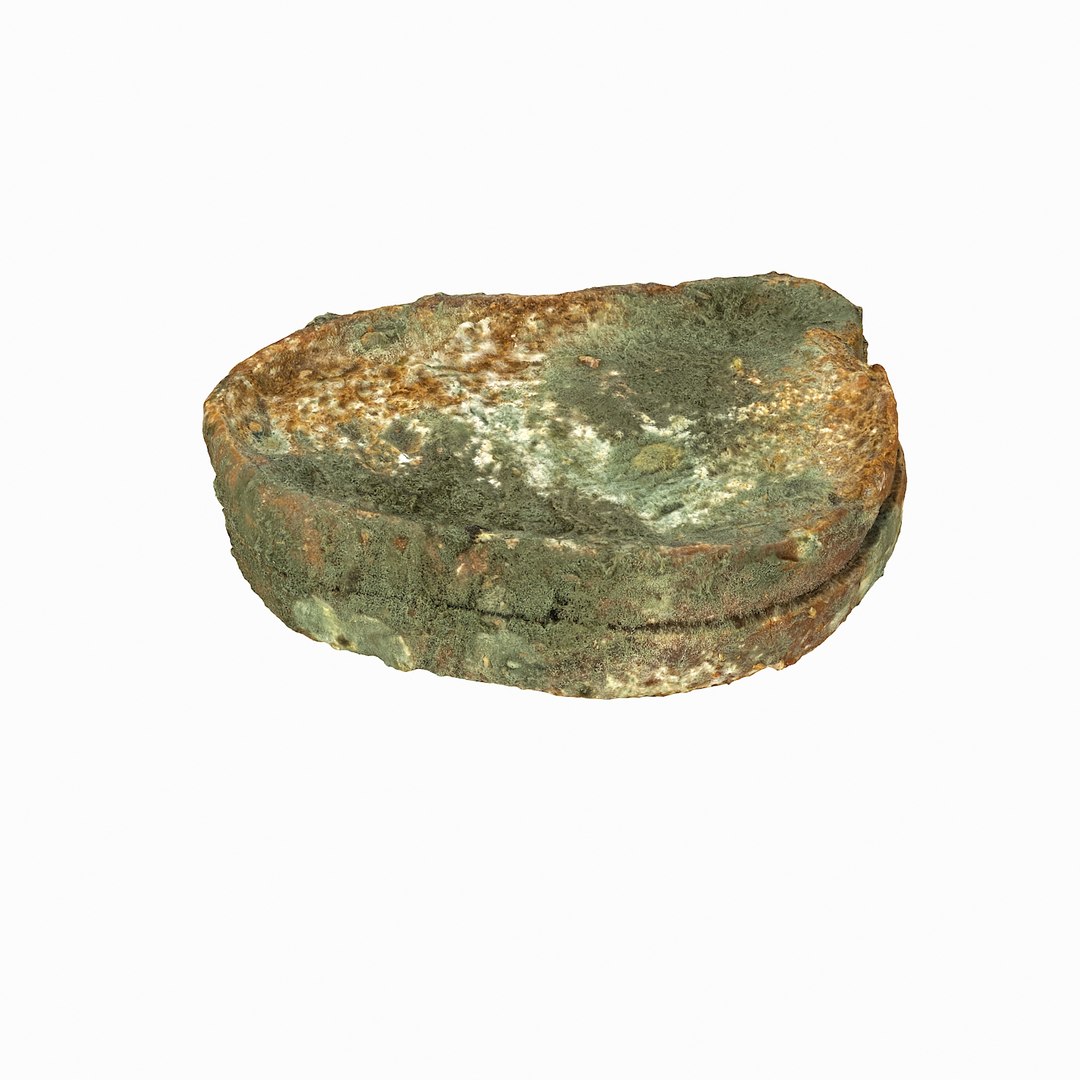 debris can 3D https://p.turbosquid.com/ts-thumb/1b/icvKQG/OZEywndQ/mouldbreadslice_03/jpg/1507191879/1920x1080/fit_q87/ce867133d3b5e2b4d3954bc7af65fff14fe2cfae/mouldbreadslice_03.jpg
