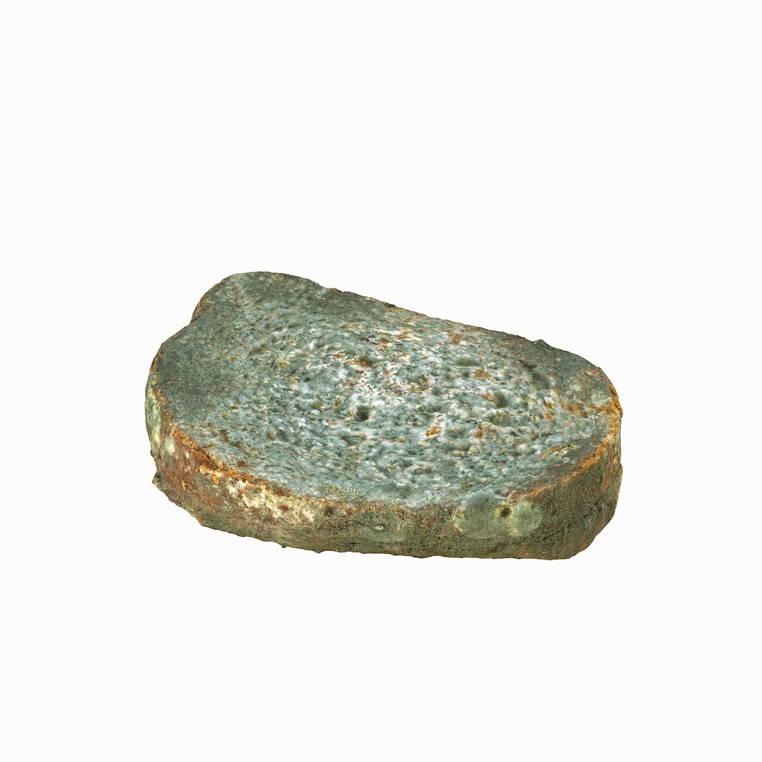 debris can 3D https://p.turbosquid.com/ts-thumb/1b/icvKQG/UfOb5L0U/mouldbreadslice_12/jpg/1507191879/1920x1080/fit_q87/fffe6b276fd519032be1bbee32714ef2113cc130/mouldbreadslice_12.jpg
