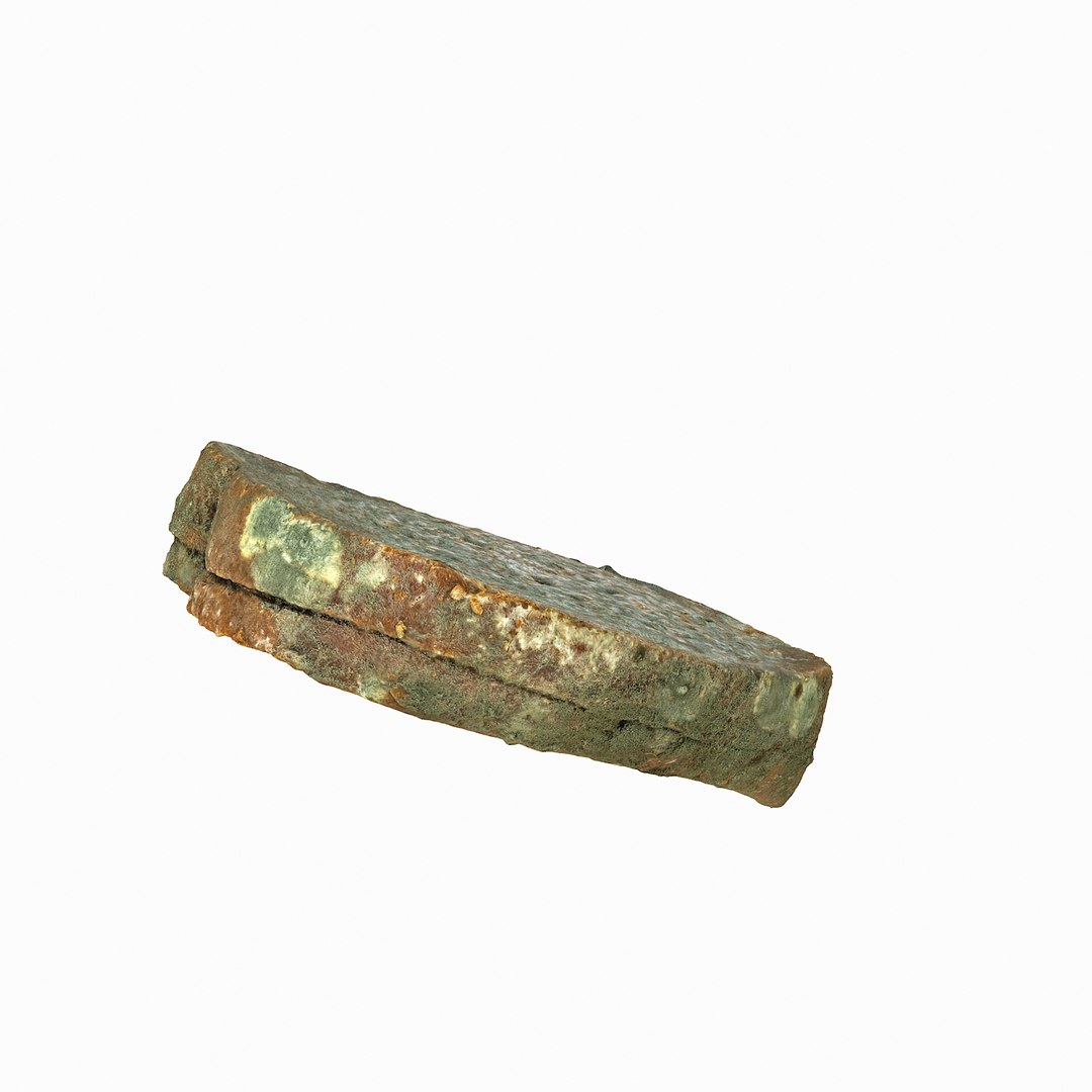 debris can 3D https://p.turbosquid.com/ts-thumb/1b/icvKQG/bO9QjJ4i/mouldbreadslice_10/jpg/1507191879/1920x1080/fit_q87/b1641fbd5464fa1464cef4a3dca5e793bf88be9c/mouldbreadslice_10.jpg