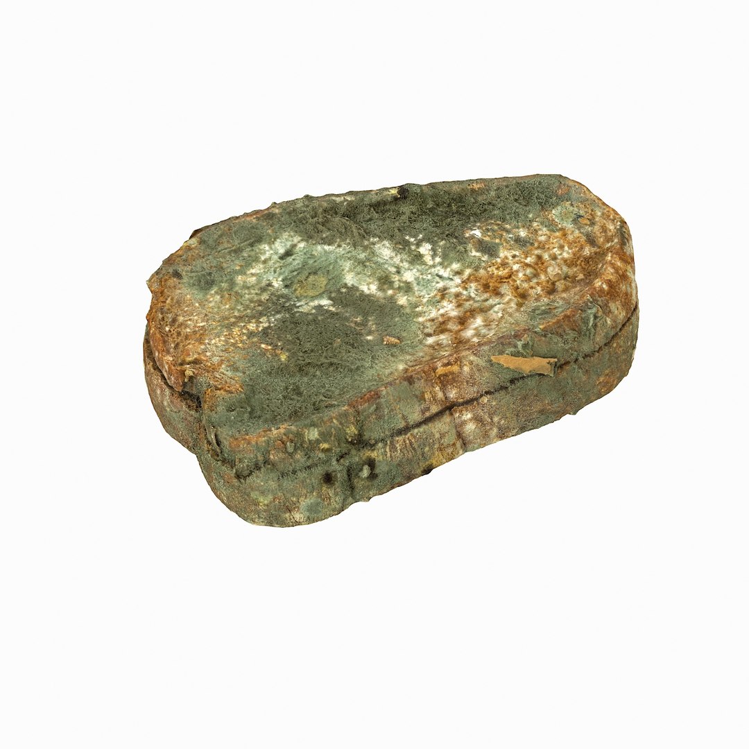 debris can 3D https://p.turbosquid.com/ts-thumb/1b/icvKQG/iNn1xUst/mouldbreadslice_16/jpg/1507191879/1920x1080/fit_q87/d8c5391b164c7d6336b264944ef4dcfe1de81f69/mouldbreadslice_16.jpg