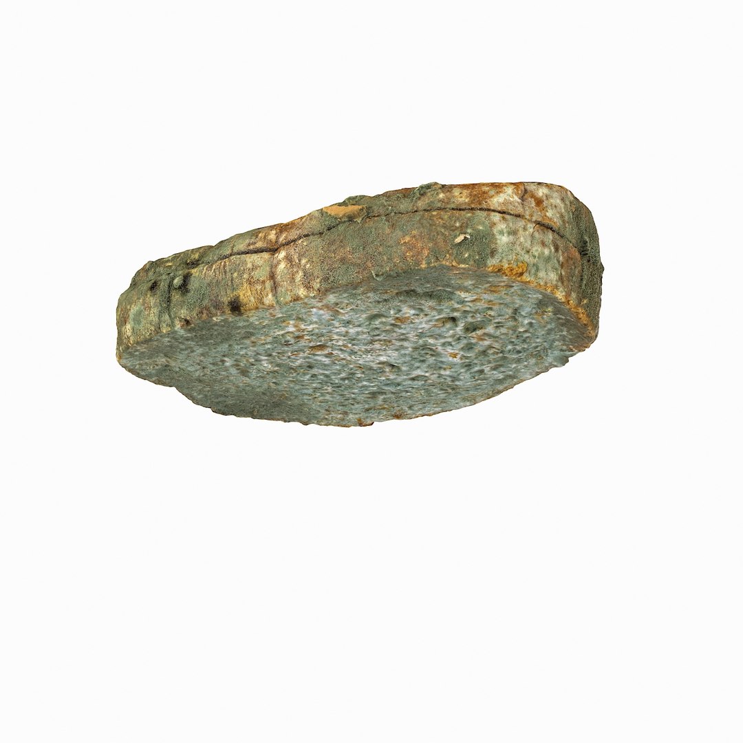 debris can 3D https://p.turbosquid.com/ts-thumb/1b/icvKQG/l7FWR56q/mouldbreadslice_19/jpg/1507191879/1920x1080/fit_q87/62aba12bf01c270d62da07afa731f2d107186b9e/mouldbreadslice_19.jpg