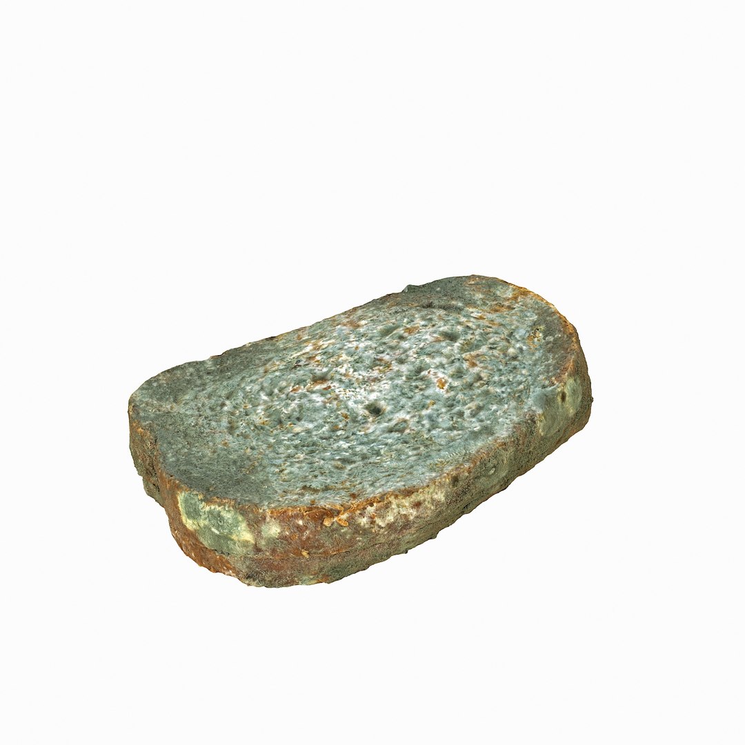 debris can 3D https://p.turbosquid.com/ts-thumb/1b/icvKQG/qy3XV4Fq/mouldbreadslice_14/jpg/1507191879/1920x1080/fit_q87/7000c4a84c2fbe5fca09bec4decd35bf13d3f941/mouldbreadslice_14.jpg