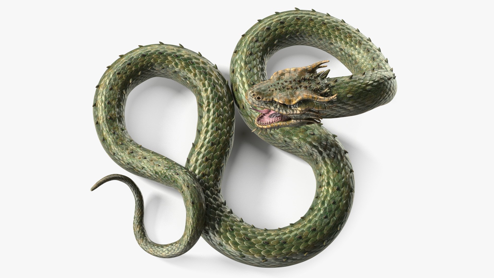 3D model Fantasy Creatures Collection https://p.turbosquid.com/ts-thumb/1b/tXZYcw/Hp/fantasycreaturescollectionc4dmodel025/jpg/1716767660/1920x1080/fit_q87/a125402c7624c409bfa7217e6647ddf72bafff80/fantasycreaturescollectionc4dmodel025.jpg