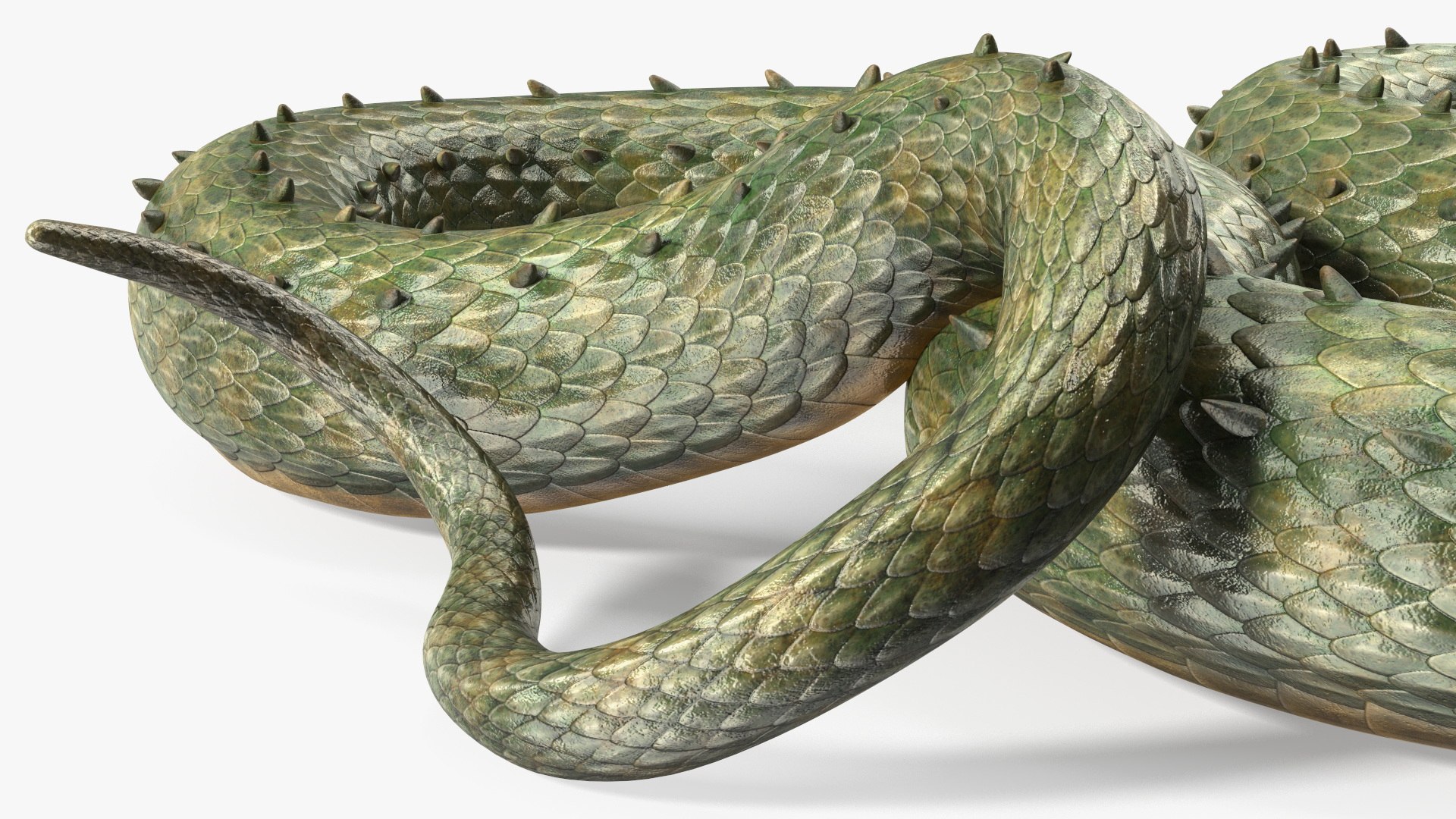 3D model Fantasy Creatures Collection https://p.turbosquid.com/ts-thumb/1b/tXZYcw/aj/fantasycreaturescollectionc4dmodel028/jpg/1716767670/1920x1080/fit_q87/64226cdea7a34d5432d95e5b0b9acde94fd2464d/fantasycreaturescollectionc4dmodel028.jpg