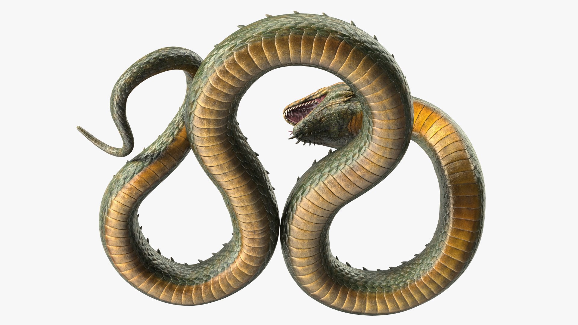 3D model Fantasy Creatures Collection https://p.turbosquid.com/ts-thumb/1b/tXZYcw/jC/fantasycreaturescollectionc4dmodel026/jpg/1716767663/1920x1080/fit_q87/a04a38ae9f57aea3b42cc891e66c1a05c08514dc/fantasycreaturescollectionc4dmodel026.jpg