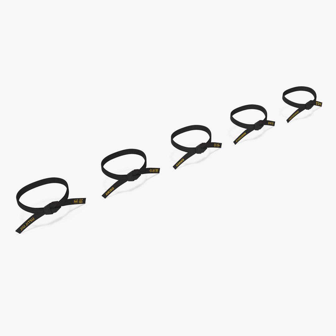 Black Martial Arts Waist Obi Belts Set 3D model preview