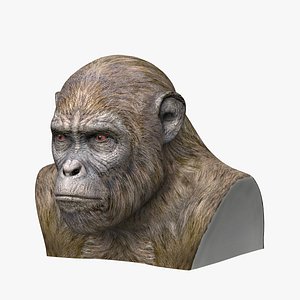 ape head 3D model
