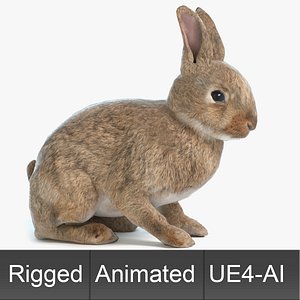 Animated Game Rabbit