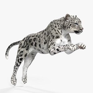 3D panthera uncia jumping pose