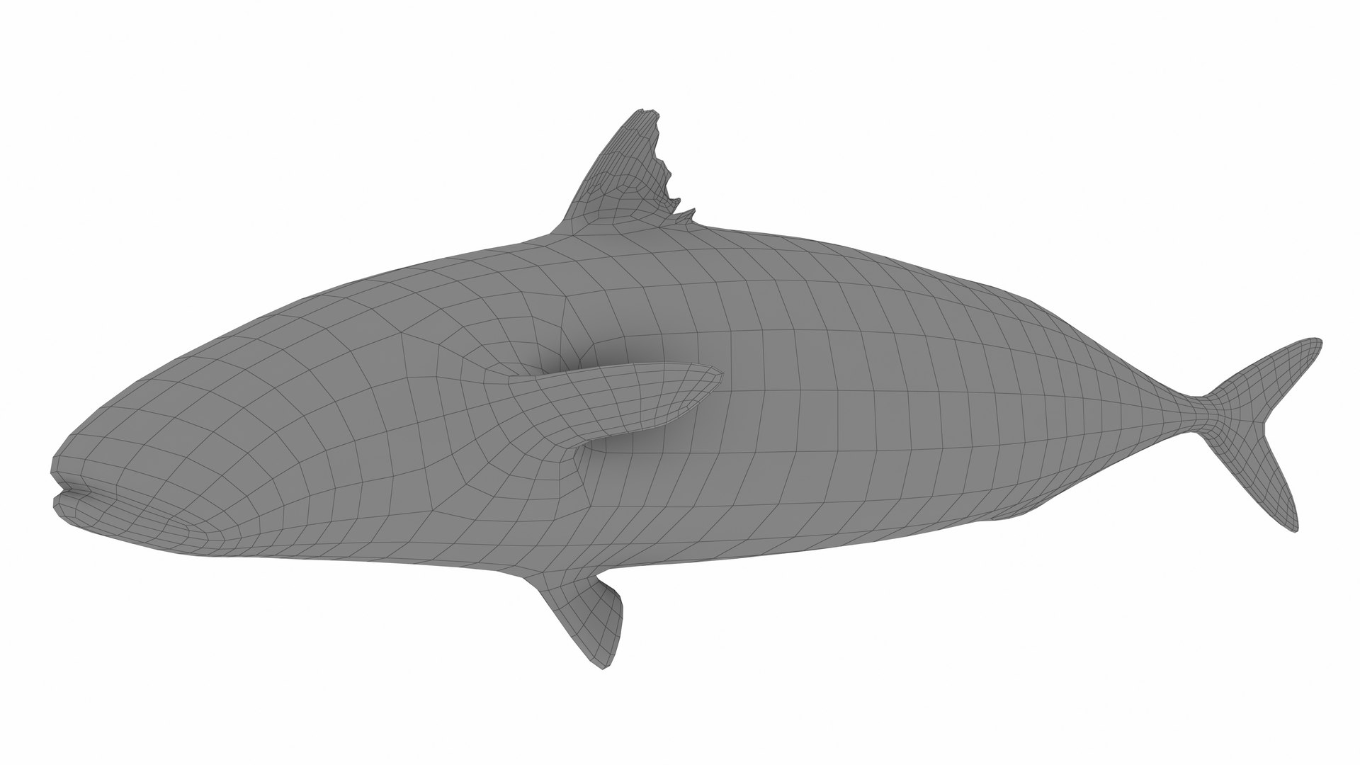 Fish 14 in 1 -Saltwater Fish 3D model https://p.turbosquid.com/ts-thumb/1c/H9FVOu/Mn/mackerel7/jpg/1744059004/1920x1080/fit_q87/ad8b8349d918dac2bfd5c3fb2a4e687fe08c35b5/mackerel7.jpg