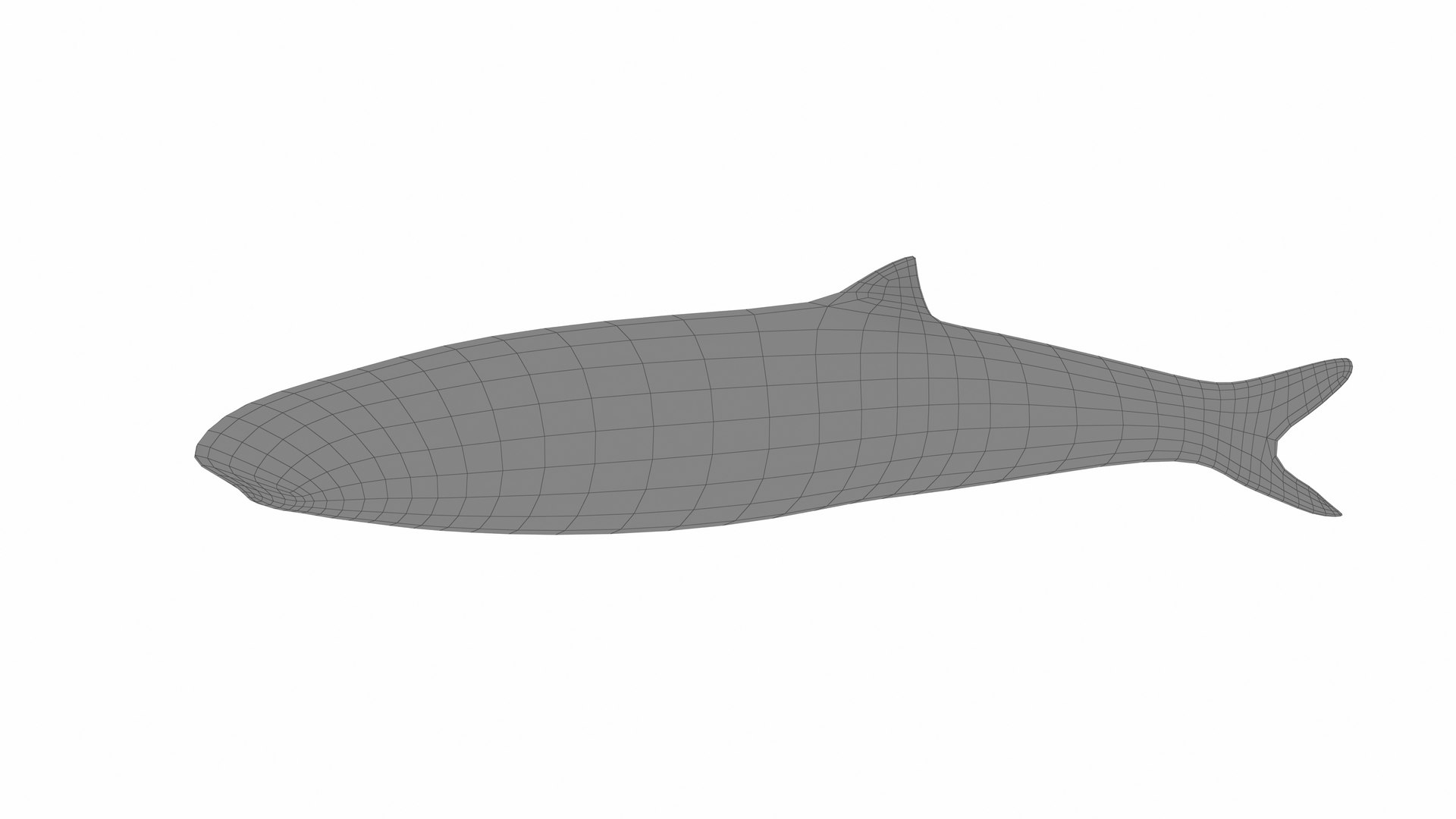 Fish 14 in 1 -Saltwater Fish 3D model https://p.turbosquid.com/ts-thumb/1c/H9FVOu/au/anchovy7/jpg/1744058972/1920x1080/fit_q87/f33270bc4c294a35ad91b5dbdb90ddc7cd499ca3/anchovy7.jpg