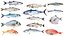 Fish 14 in 1 -Saltwater Fish