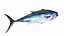 Fish 14 in 1 -Saltwater Fish