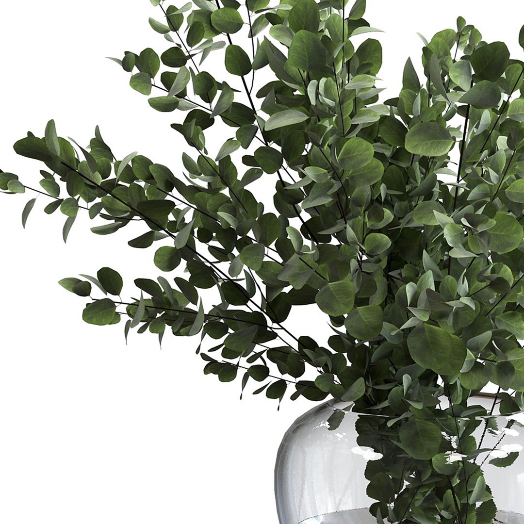 Bouquet green 3D https://p.turbosquid.com/ts-thumb/1c/dRk0CT/PW/3835585.61afa623a3959/jpg/1710362623/1920x1080/fit_q87/3e7fced87b275190a32e7f7c41fb718f41516e74/3835585.61afa623a3959.jpg