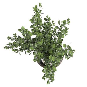 Bouquet green 3D