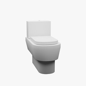 Floor Toilet