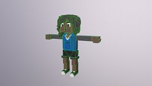 3D Voxel Woman model
