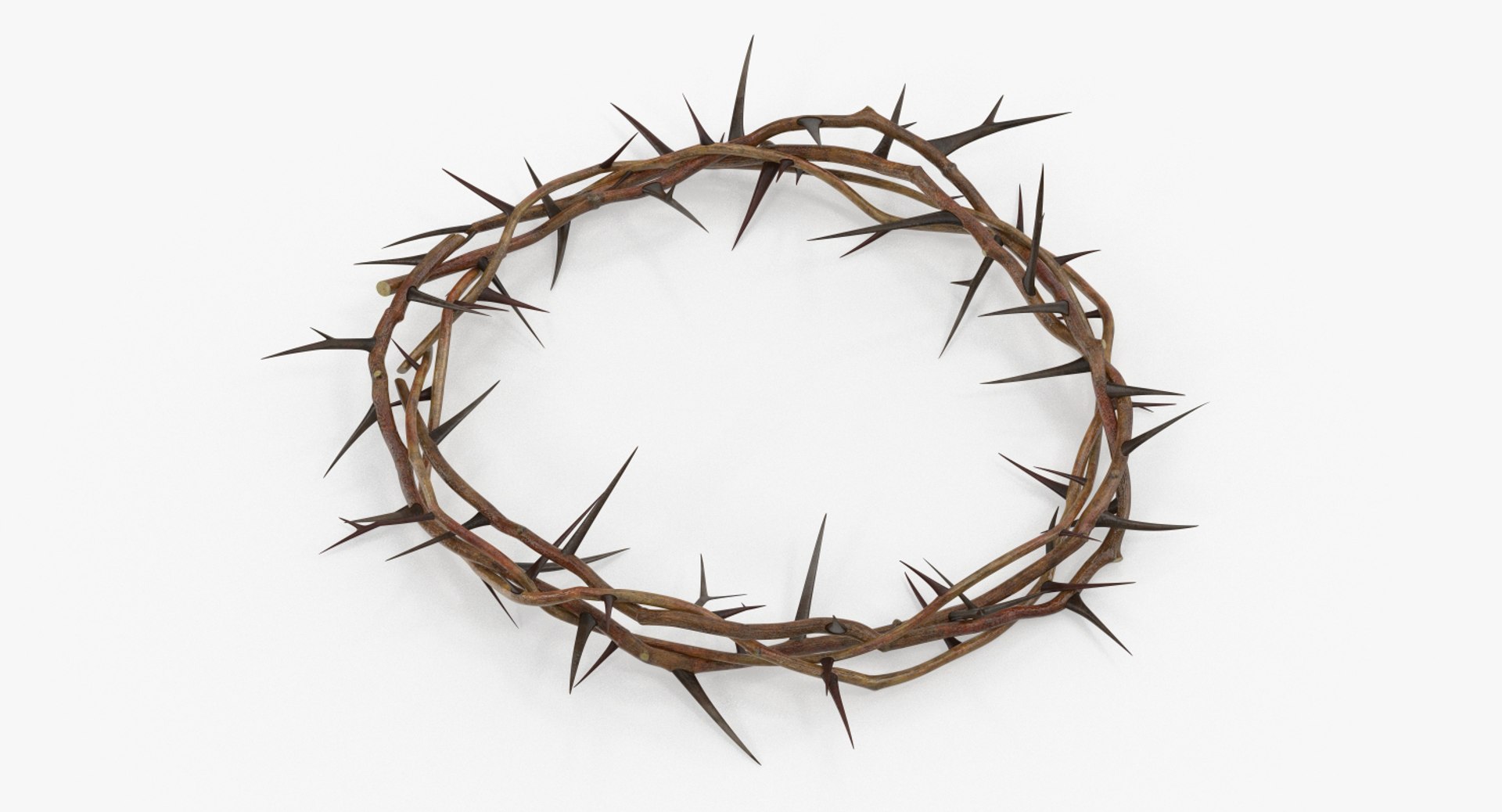 Crown of Thorns 3D model preview