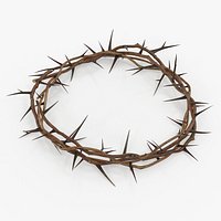 Crown of Thorns