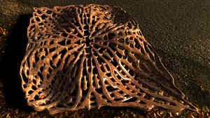 3d model of pendant e8f4l50 earring coulomb