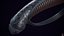 sword