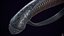 sword