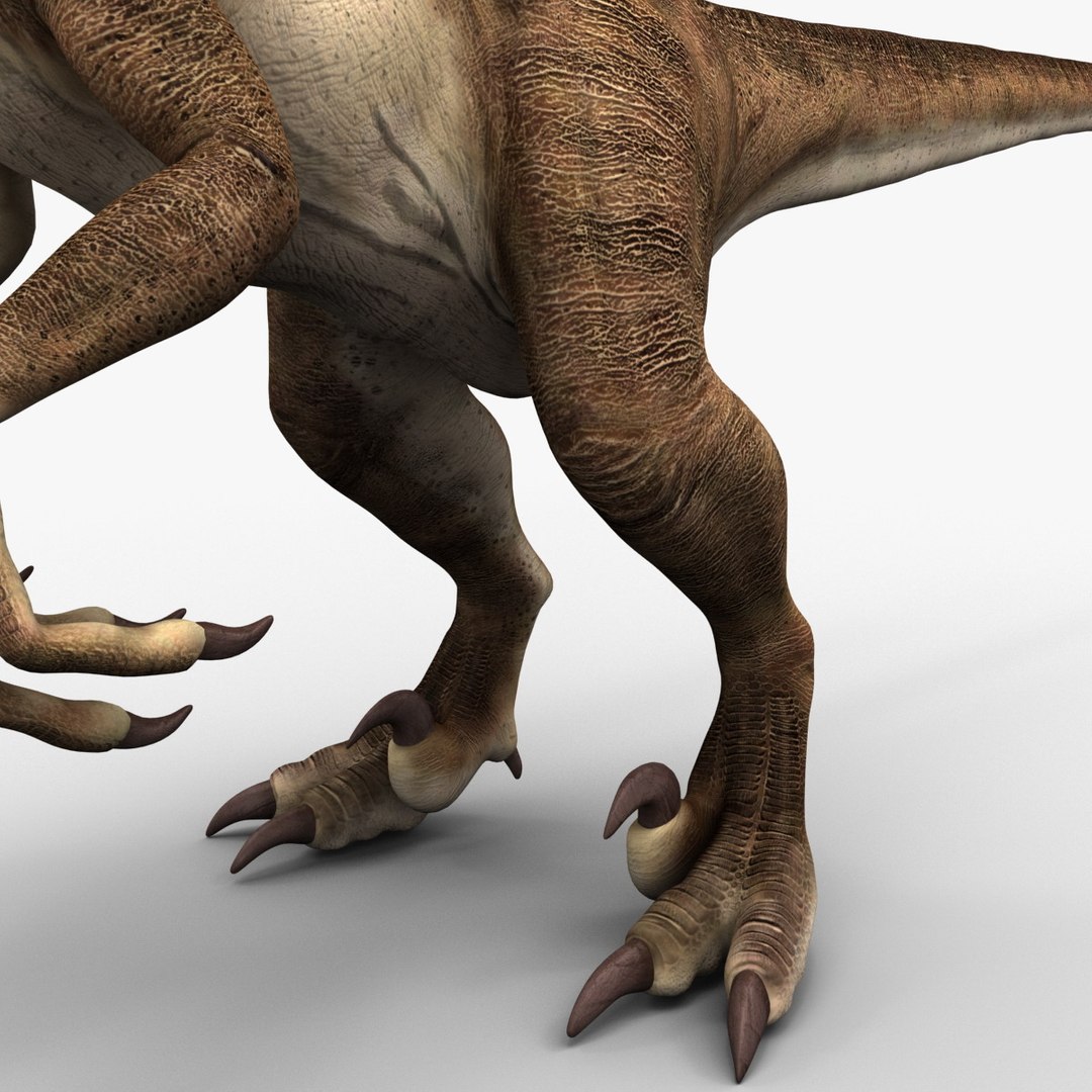 Raptor Dinosaur 3d Model