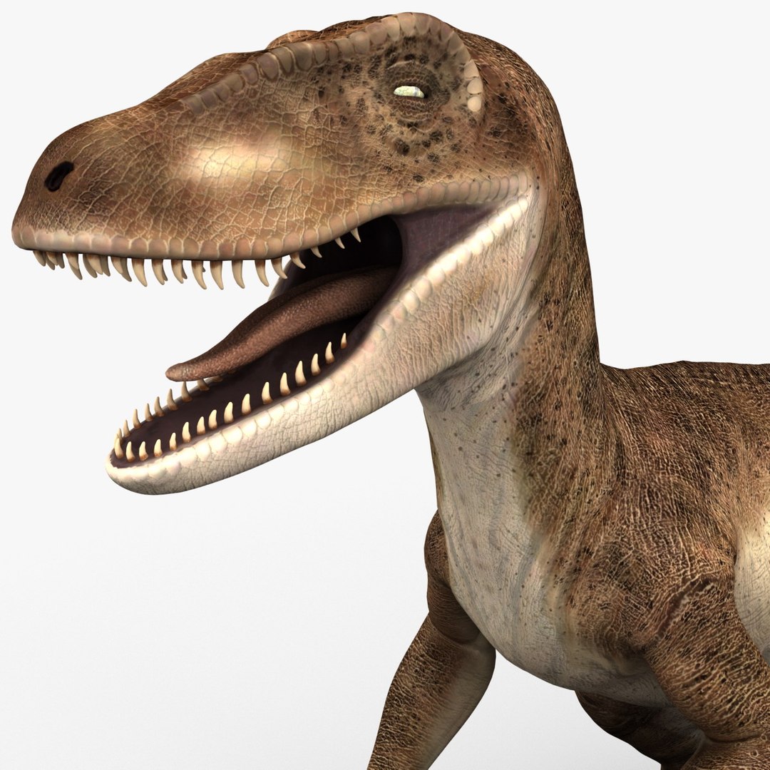 Raptor Dinosaur 3d Model