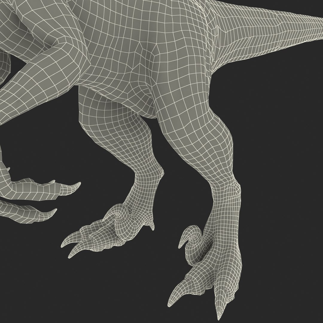 Raptor Dinosaur 3d Model