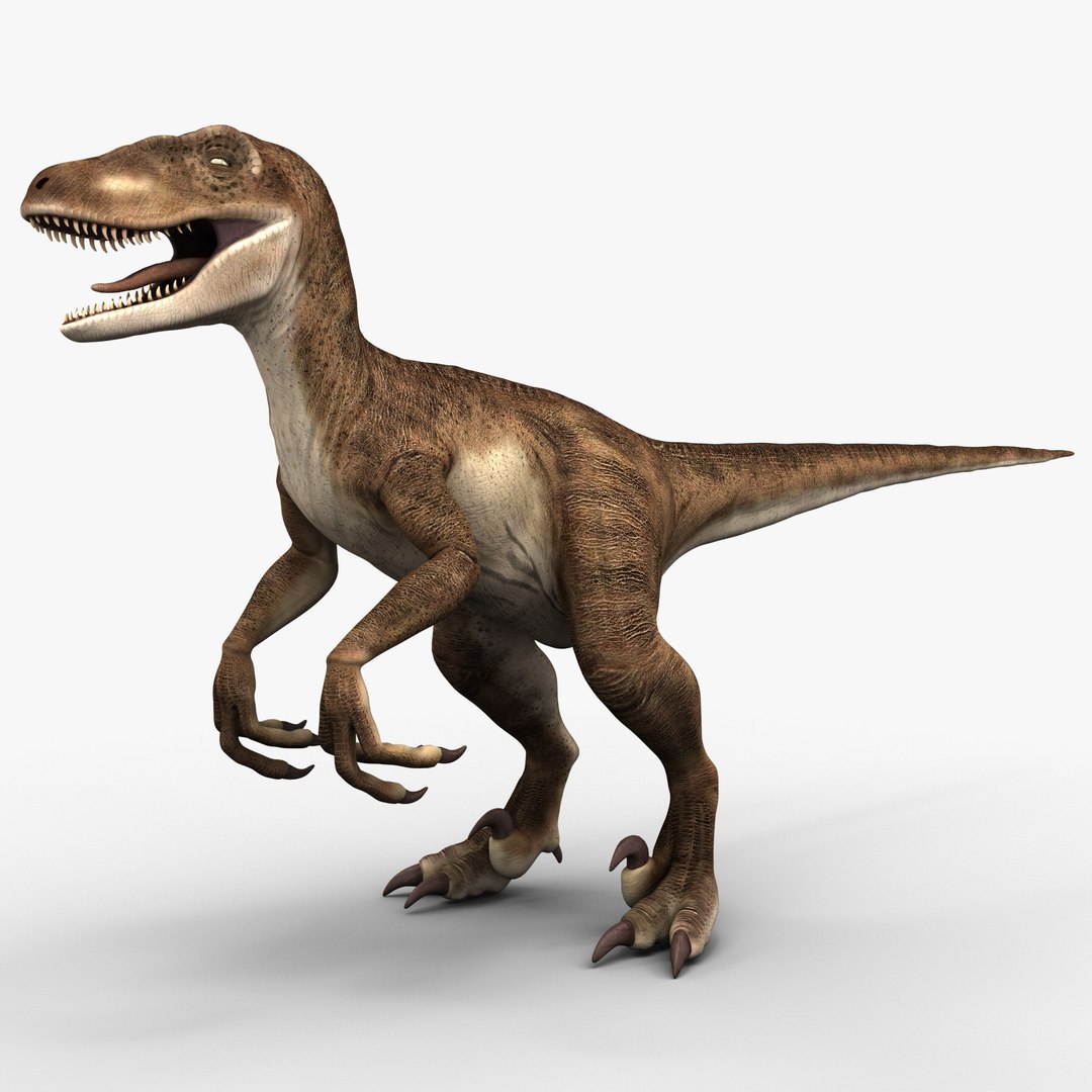 Raptor Dinosaur 3d Model, image size:1080x1080
