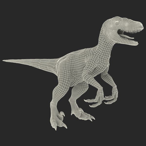 Raptor Dinosaur 3d Model 