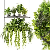 Collection plant vol 446 - hanging - ampelous - palm - pothos - 3dsmax - cinema4d