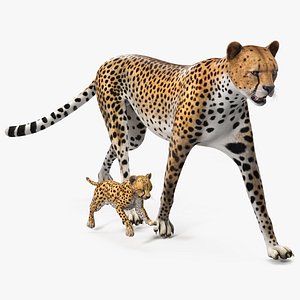 Cheetah with Cub Walking 3D model