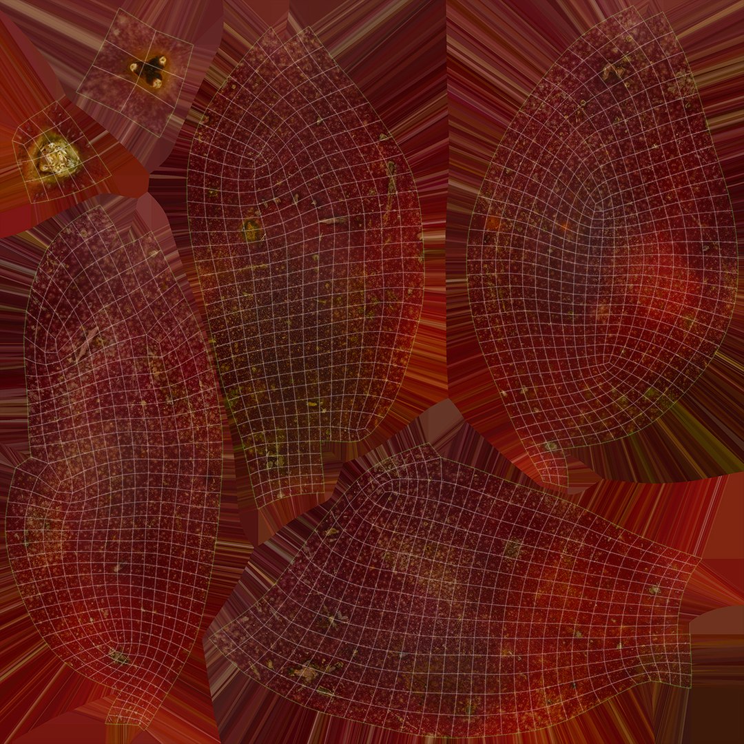 Whole Passionfruit 3D model https://p.turbosquid.com/ts-thumb/1d/UGQZfP/Zd/passionfruit_f0004/jpg/1625833606/1920x1080/fit_q87/5f9f5cbe67b182d3e609358eae74251a834610ef/passionfruit_f0004.jpg