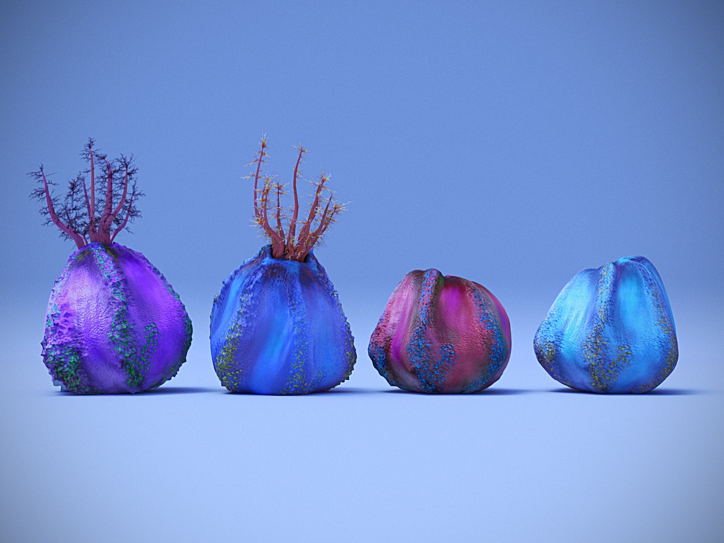 3D Sea Apple - TurboSquid 1562669