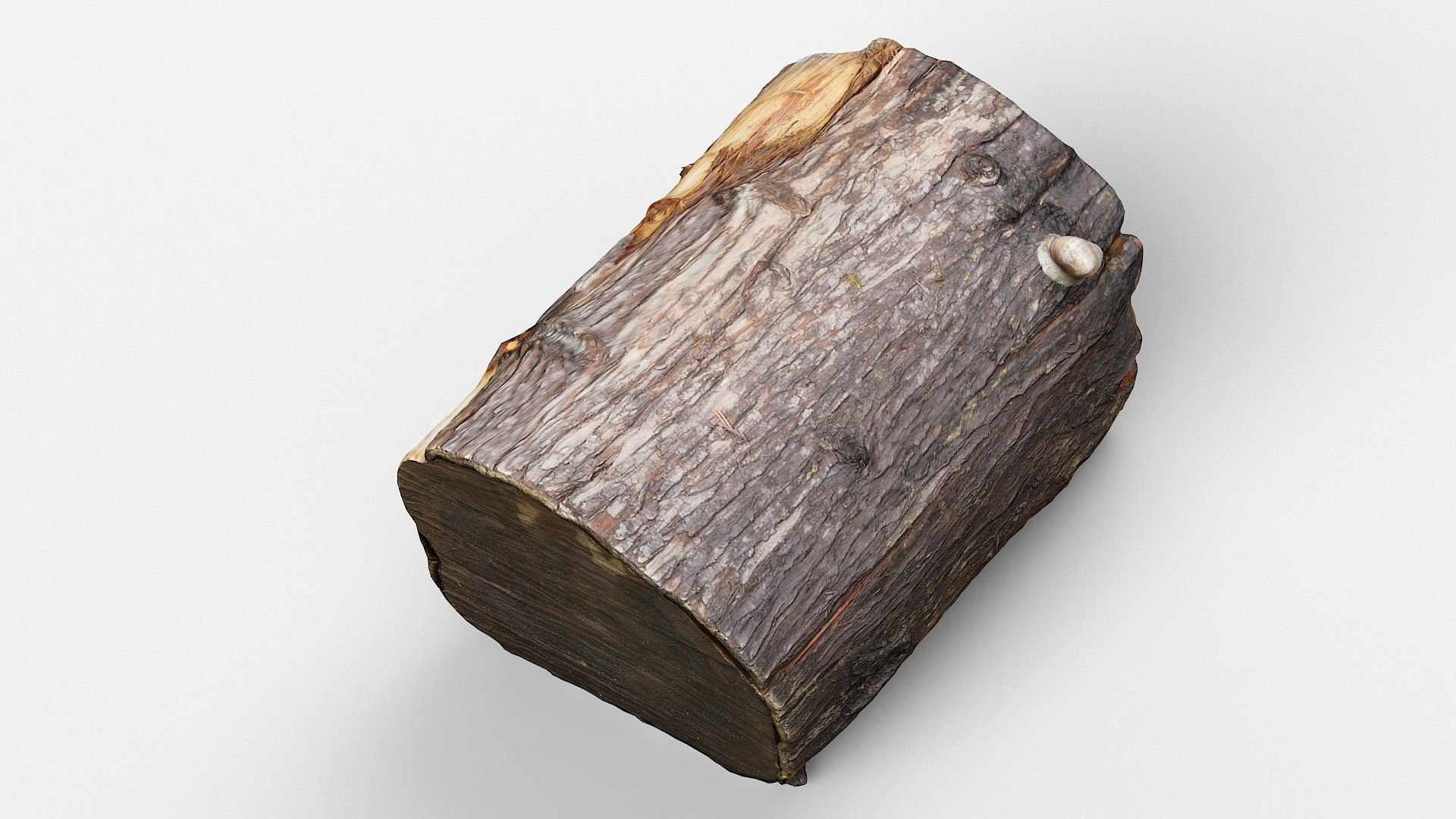 scan tree trunk stump model https://p.turbosquid.com/ts-thumb/1d/jiP49K/06/treestump18_08/jpg/1613987663/1920x1080/fit_q87/e3e5b0eeef674424dcff74d4f957d27769f4e256/treestump18_08.jpg
