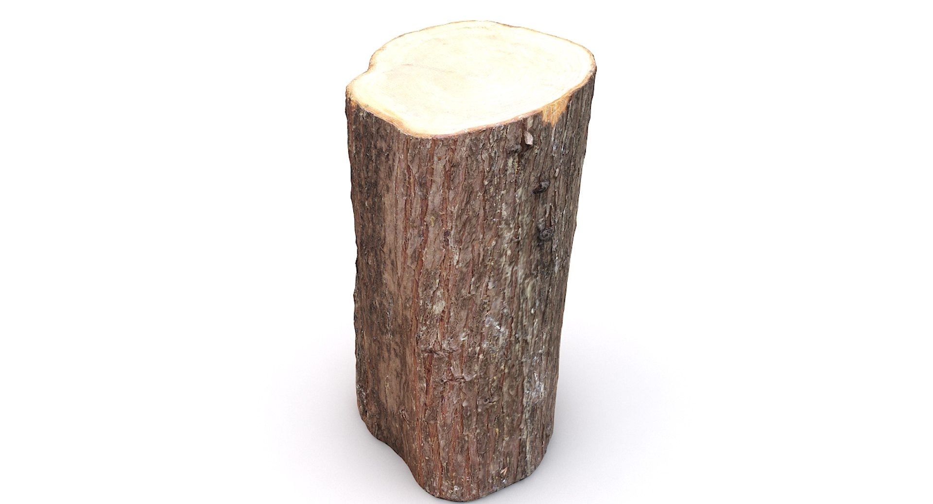 scan tree trunk stump model https://p.turbosquid.com/ts-thumb/1d/jiP49K/16/treetrunk11_11/jpg/1613987588/1920x1080/fit_q87/062f4dc3231600f15815fc202da180995c4a32d7/treetrunk11_11.jpg